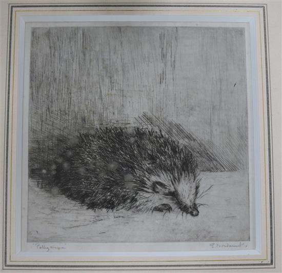 E. Mordaunt, etching, a hedgehog Polyanna